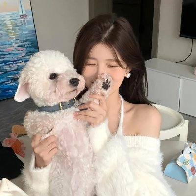 卫星女孩和奶牛